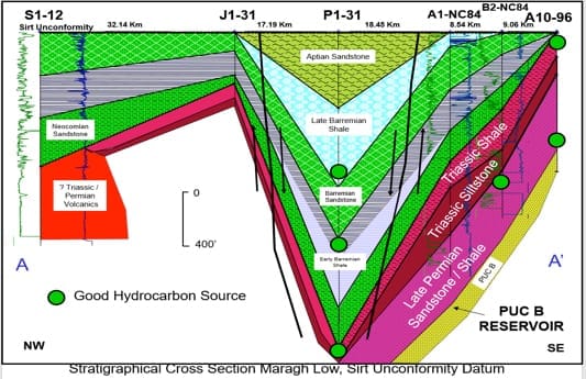 Applied Biostratigraphy in Exploration and Development