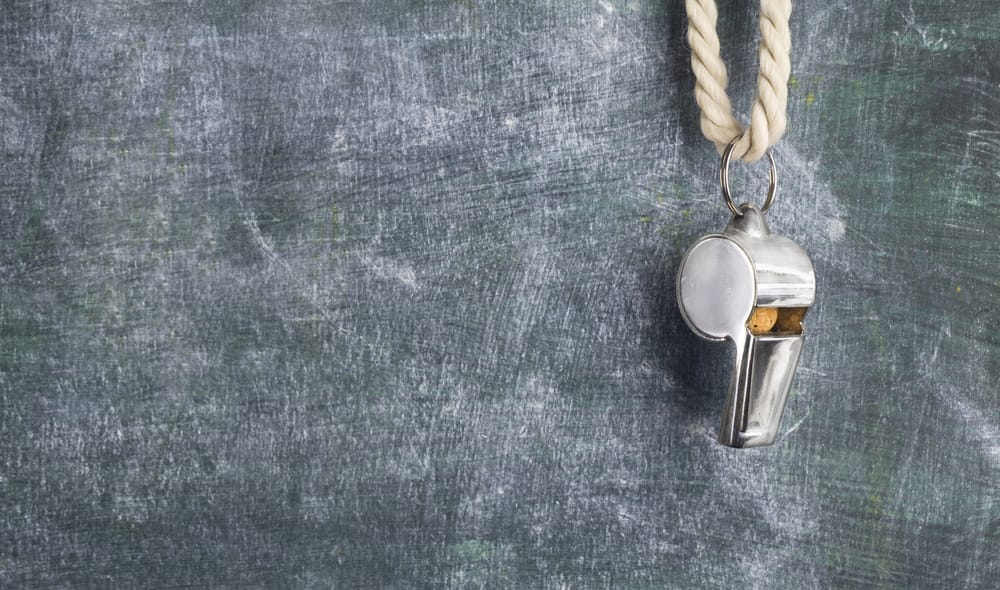 The ‘Art’ of Coaching