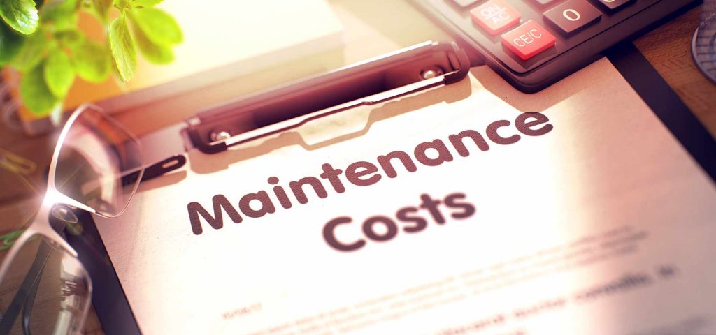 Maintenance Strategy Development and Cost Effective Implementation